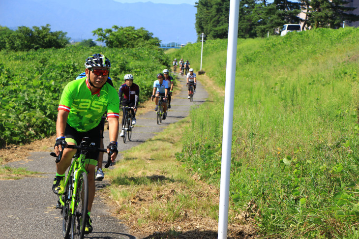 草が青々と茂ったサイクリングロードを駆け抜ける