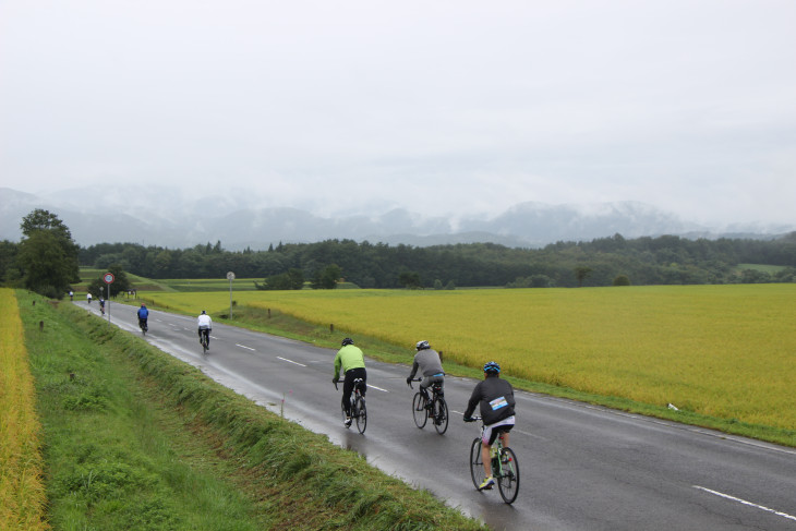 古き良き日本の里山の雰囲気を醸し出す