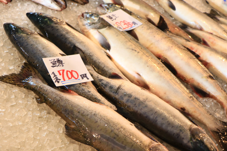 こんなおっきな鱒が一本700円なんですよ信じられます？