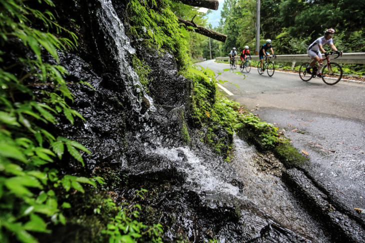 湧き水が豊富なのもこの一帯の特徴　山向こうの西条市は有数の湧水地帯だ