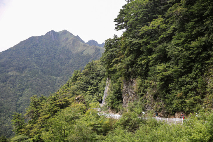 山肌を削ったような瓶ヶ森線　落石なども多いので注意