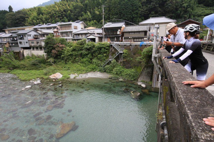 橋の上から鮎を池川に伝わるひっかけ釣り「しゃくり」で狙う