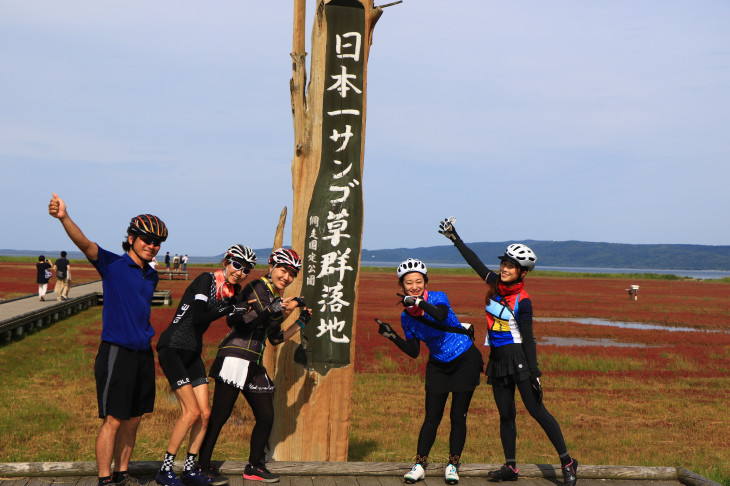 日本一のサンゴ草群生地なんですよ