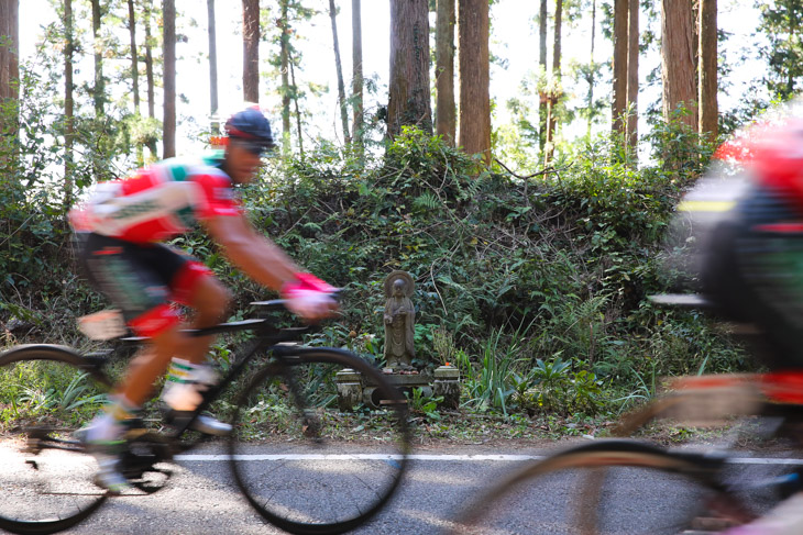 道端のお地蔵さんがレースを見つめる