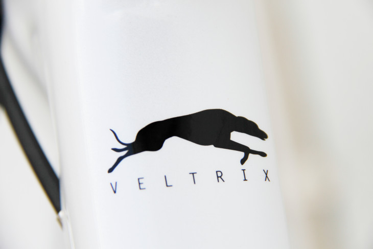 モデル名の由来となったハンター犬「VELTRIX」をイメージしたデザイン