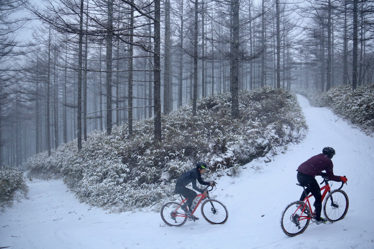 標高1800mを超えると一面雪だった。10%以上の勾配が続く本沢林道をひたすら登る