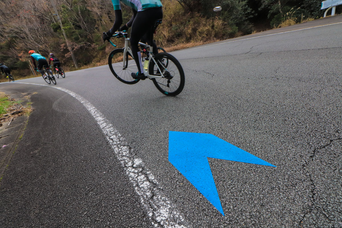 伊豆半島のルートのあちこちにサイクリングルートを示すブルーの矢印サインが