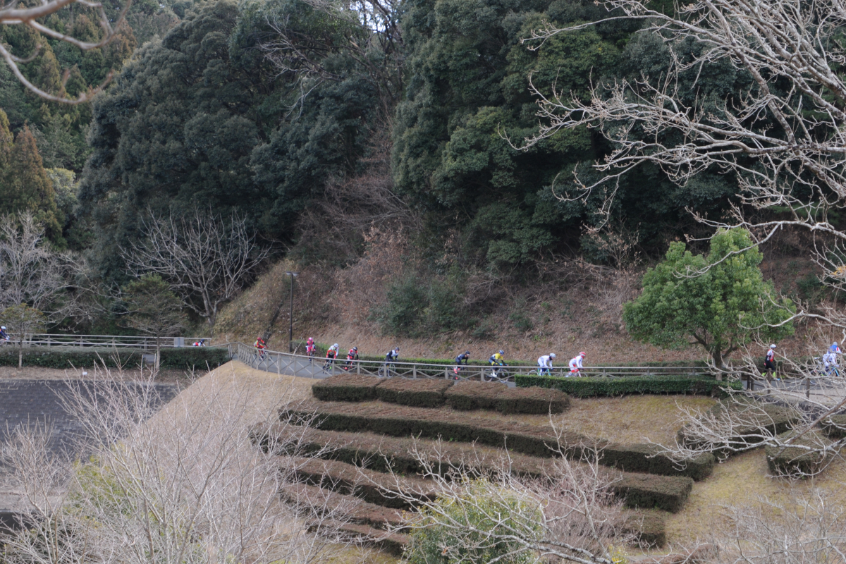 新城市総合公園内の遊歩道を利用したコースを一列棒状になって駆け抜ける先頭集団