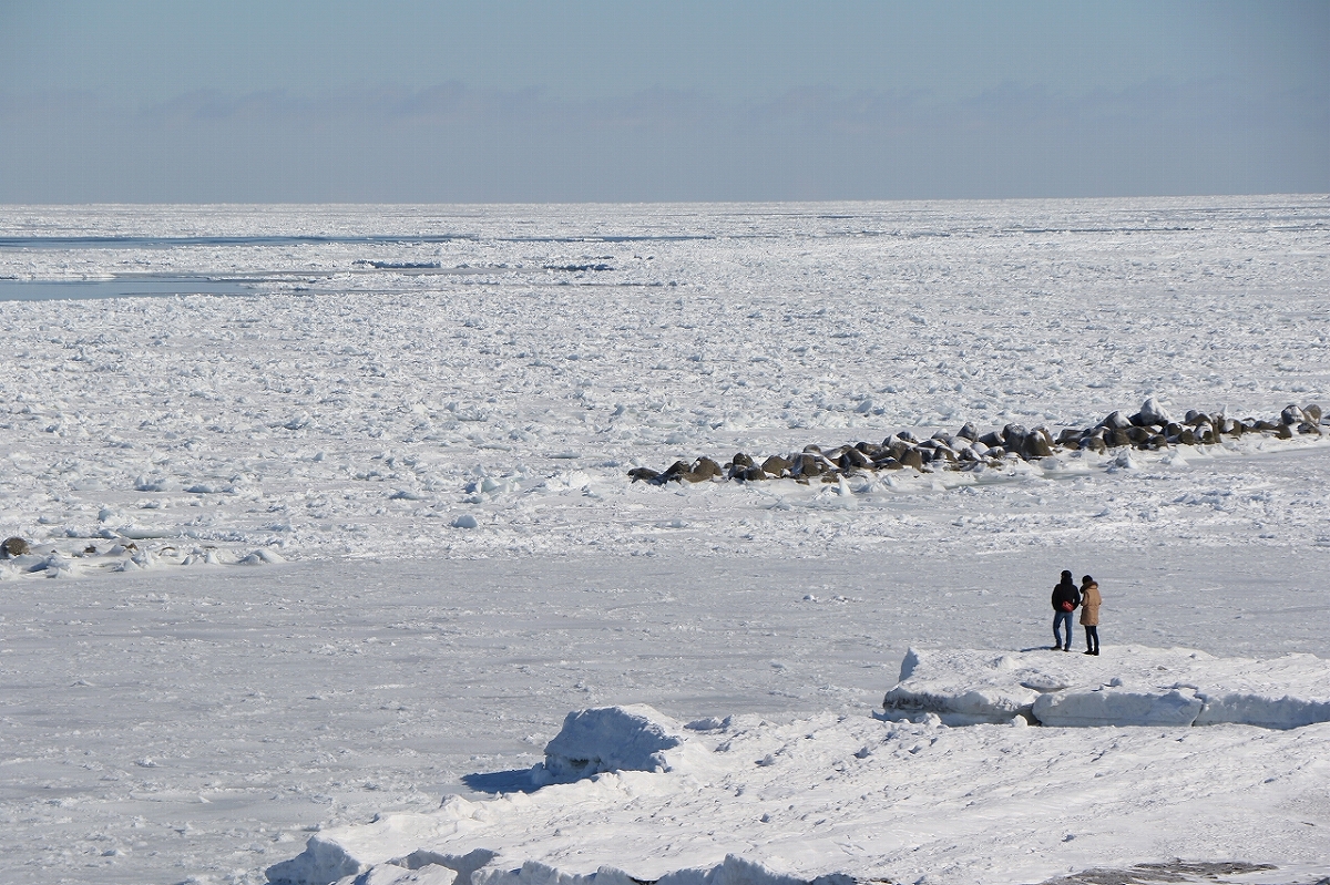 流氷に覆われた広大なオホーツク海が目に飛び込んできました！