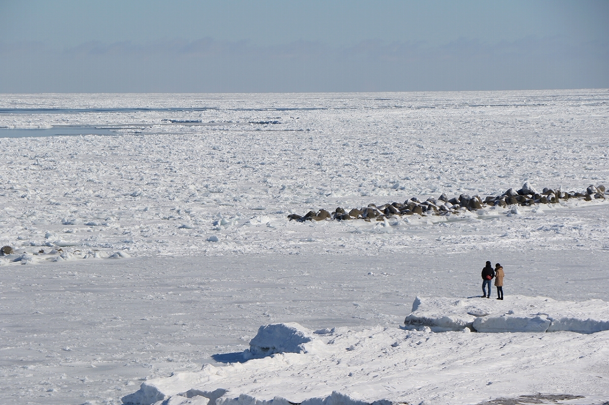 流氷に覆われた広大なオホーツク海が目に飛び込んできました!