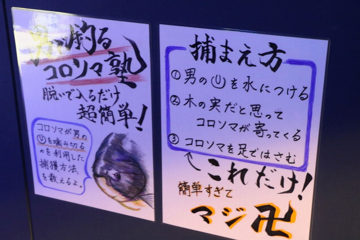 ユーモアあふれる展示説明もこの博物館の魅力