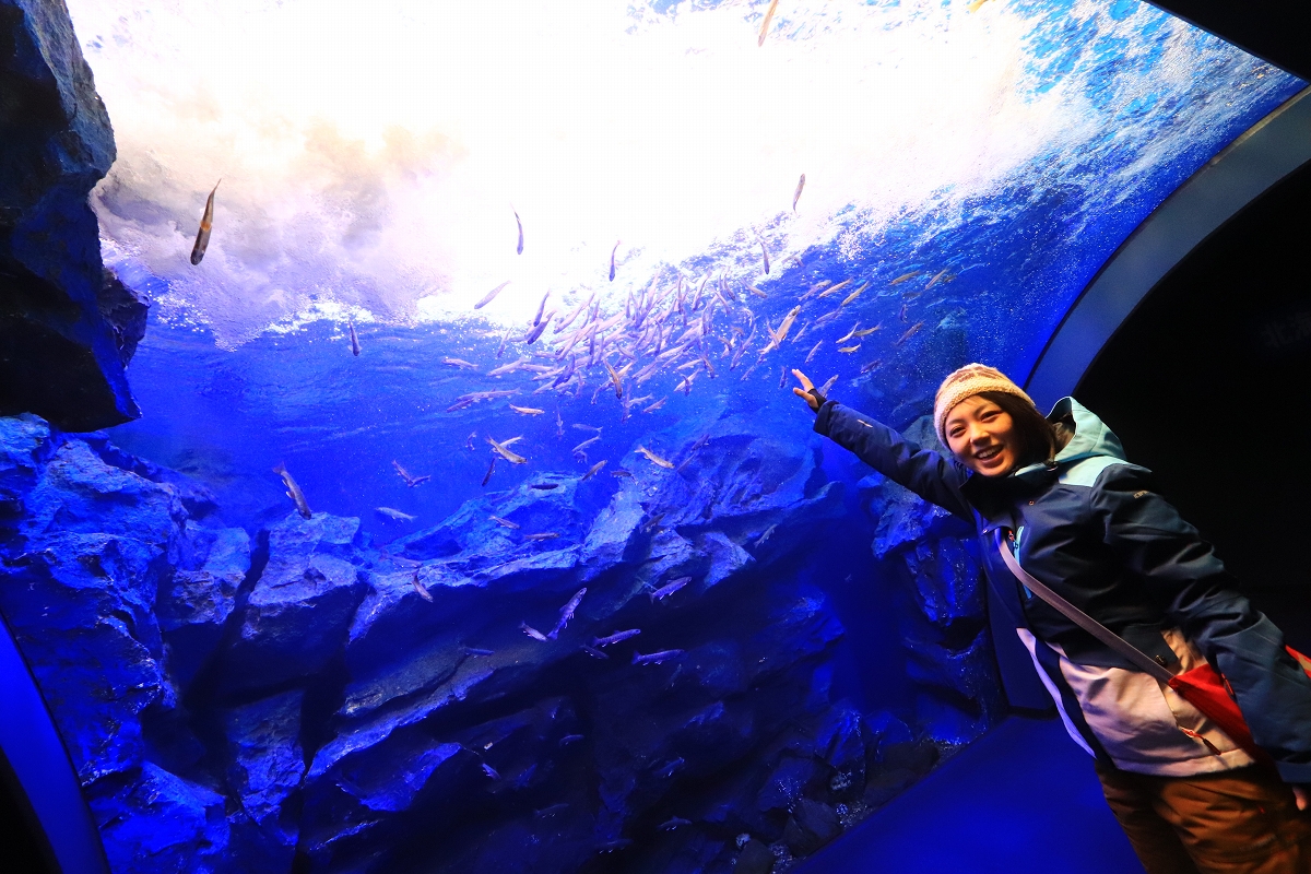 北の大地の水族館、ドーム型の滝つぼ水槽　水の塊が上から降ってくる大迫力の展示