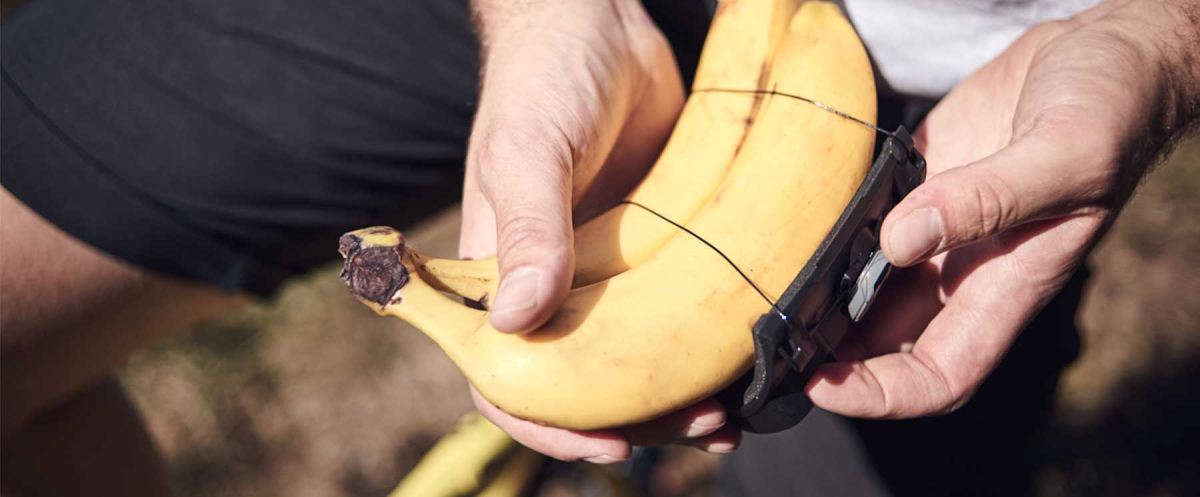 補給食用のバナナだって持ち運ぶことができる