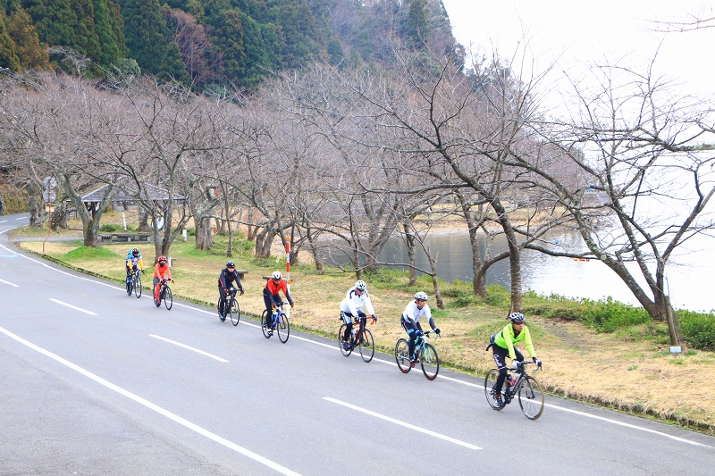 もう少し経てば桜が美しく咲きそうだ