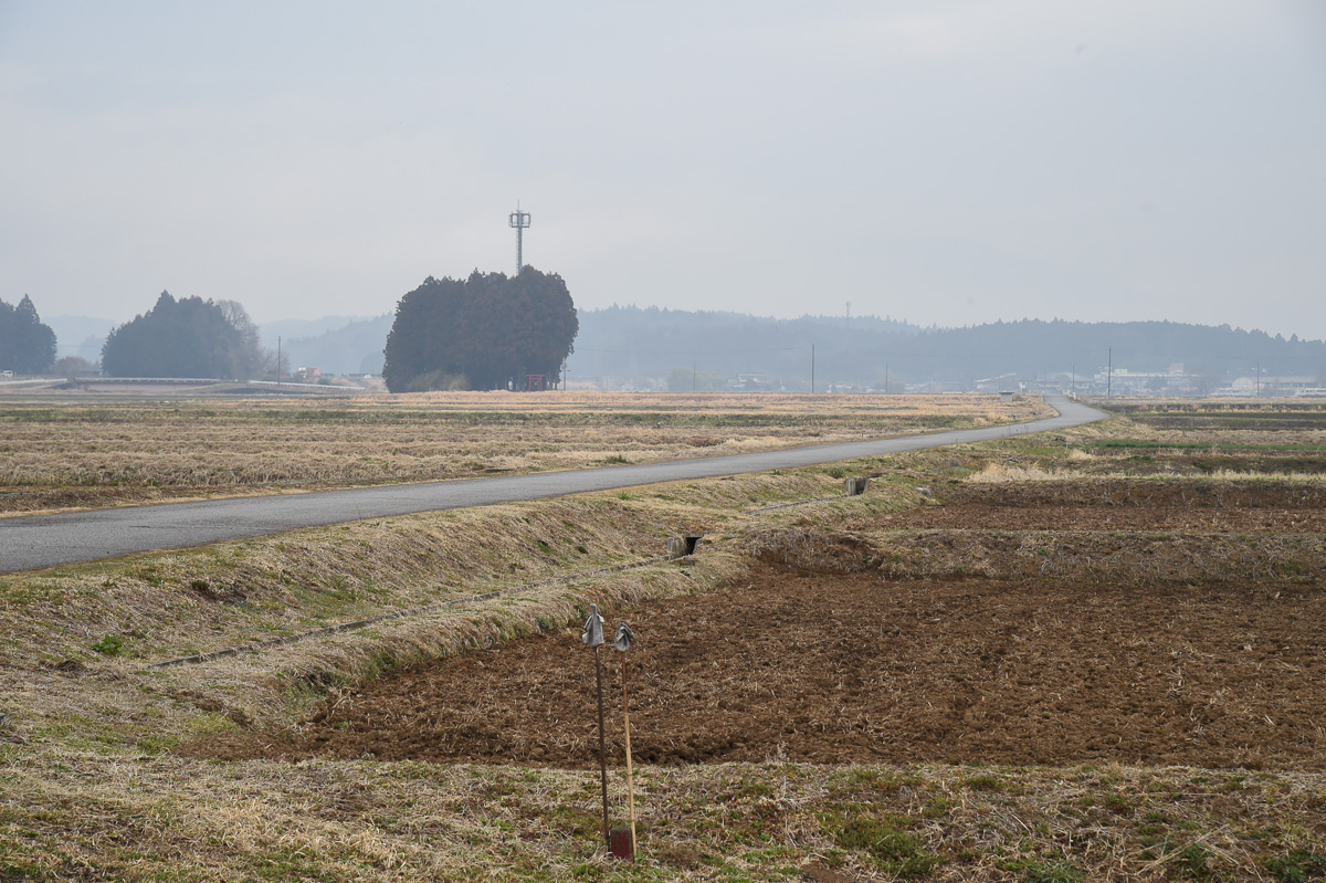 第2ステージ コース後半の平坦区間