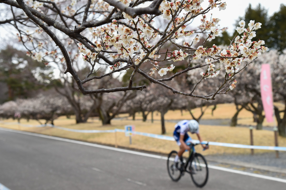 3月末開催のツール・ド・とちぎ　桜は間に合わなかったが梅の花は散る前ギリギリ間に合った