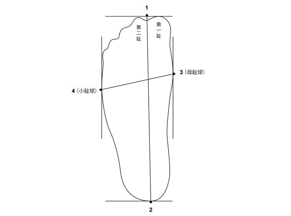 レイクシューズは、足の長さと幅で最適なサイズを選ぶ。▼つま先先端（点1）とかかと（点2）の距離▼母指球（点3）と小指球（点4）の距離をそれぞれミリ単位で計測し、サイズチャートに当てはめる