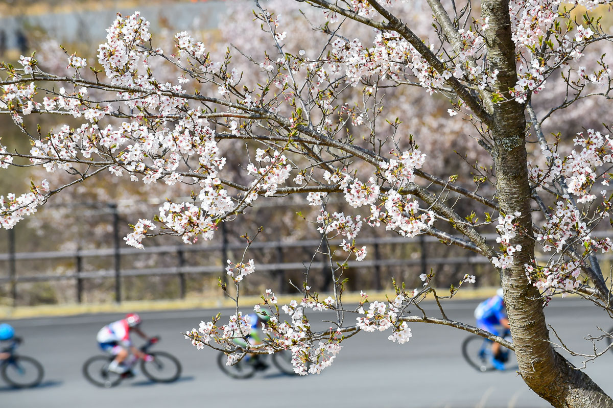 日本の春のクラシック「チャレンジロード」残り1周を逃げ切った岡篤志が優勝 - チャレンジサイクルロードレース2019 | cyclowired