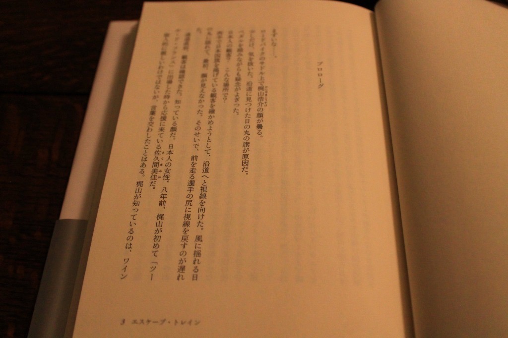 物語は梶山浩介が出場したツールの1シーンから始まる