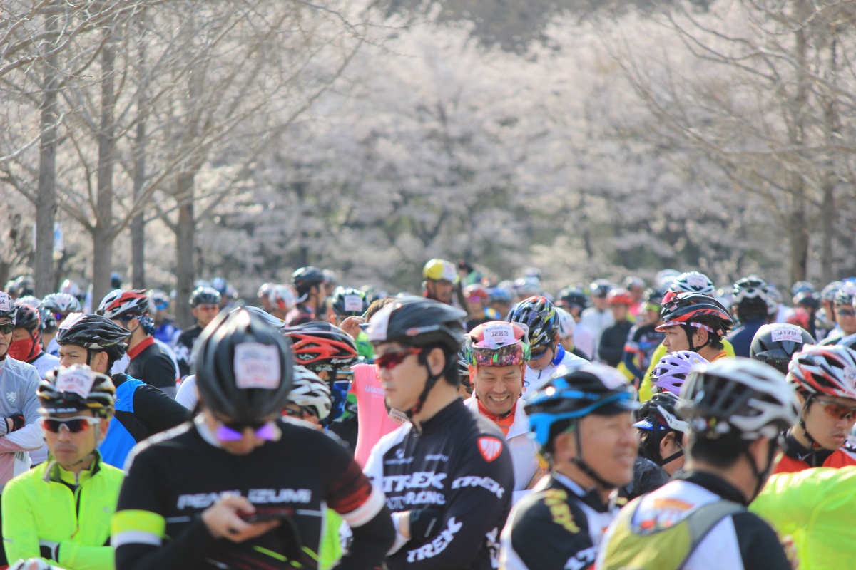 今年は桜の季節に開催されたうつのみやサイクルピクニック