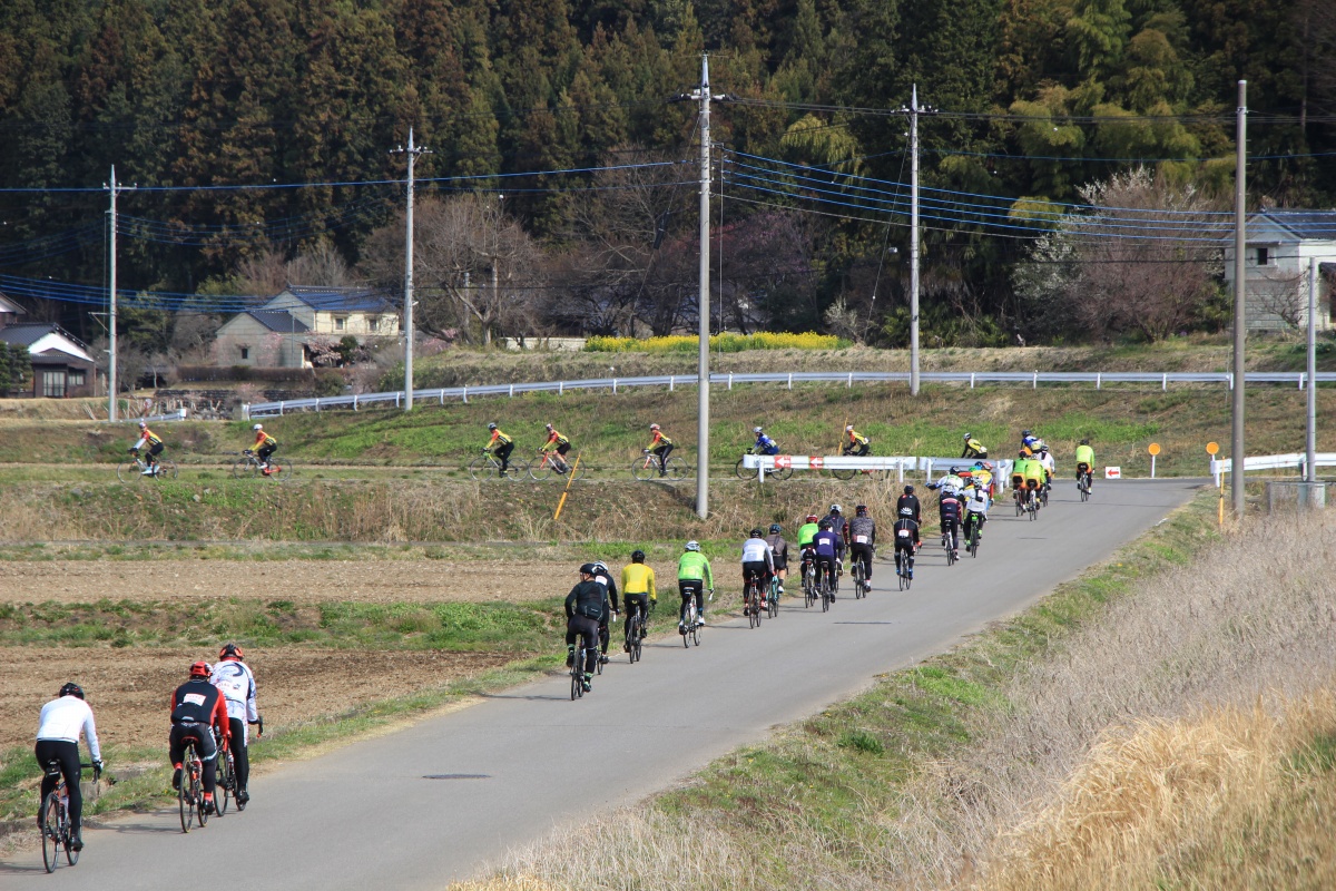 地元の方々の生活道路である田舎道を進んでいく