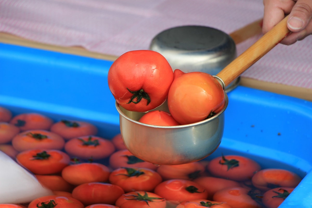 塩谷町産のトマトが頂ける。ジューシーで旨味がたっぷりだ