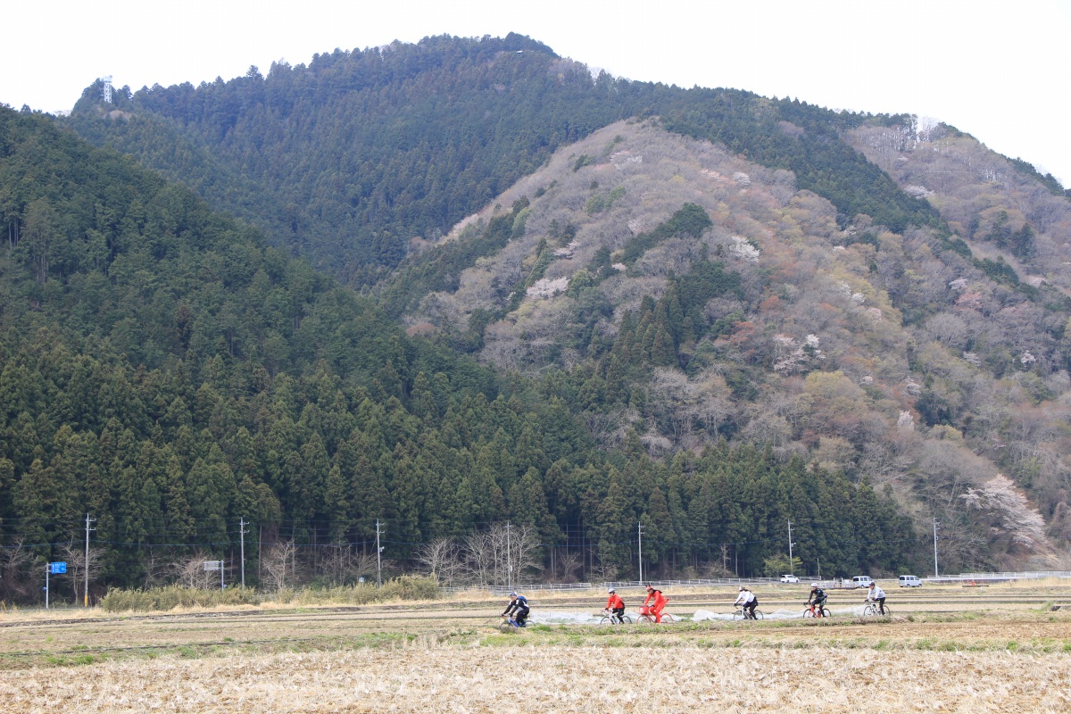 小高い丘と田園という風景は古き良き日本の里山の姿だろう