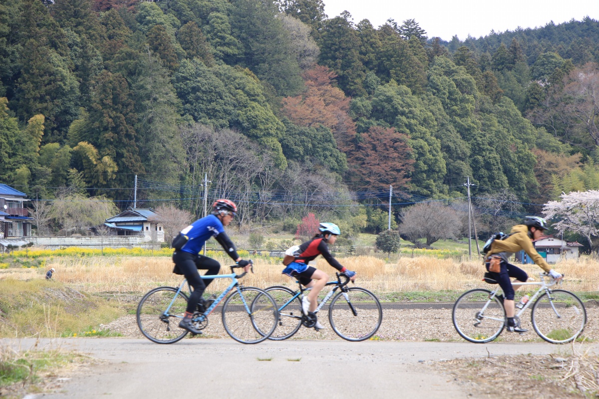 田んぼの間を気持ち良いペースで駆け抜けていく