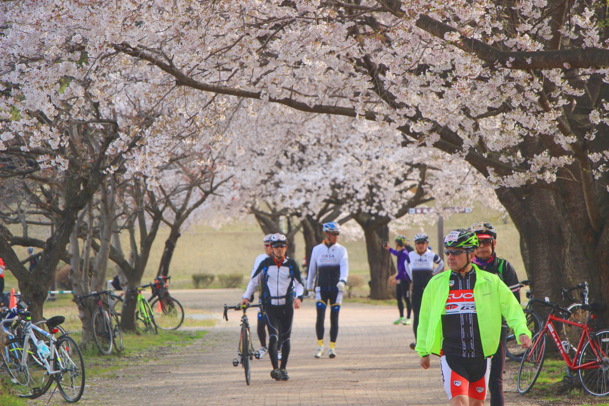 ろまんちっく村は桜が散らずに残っていてくれた