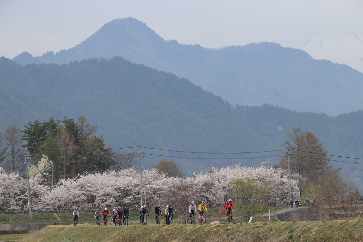 桜並木と山々を背景に川沿いのサイクリングロードを行く