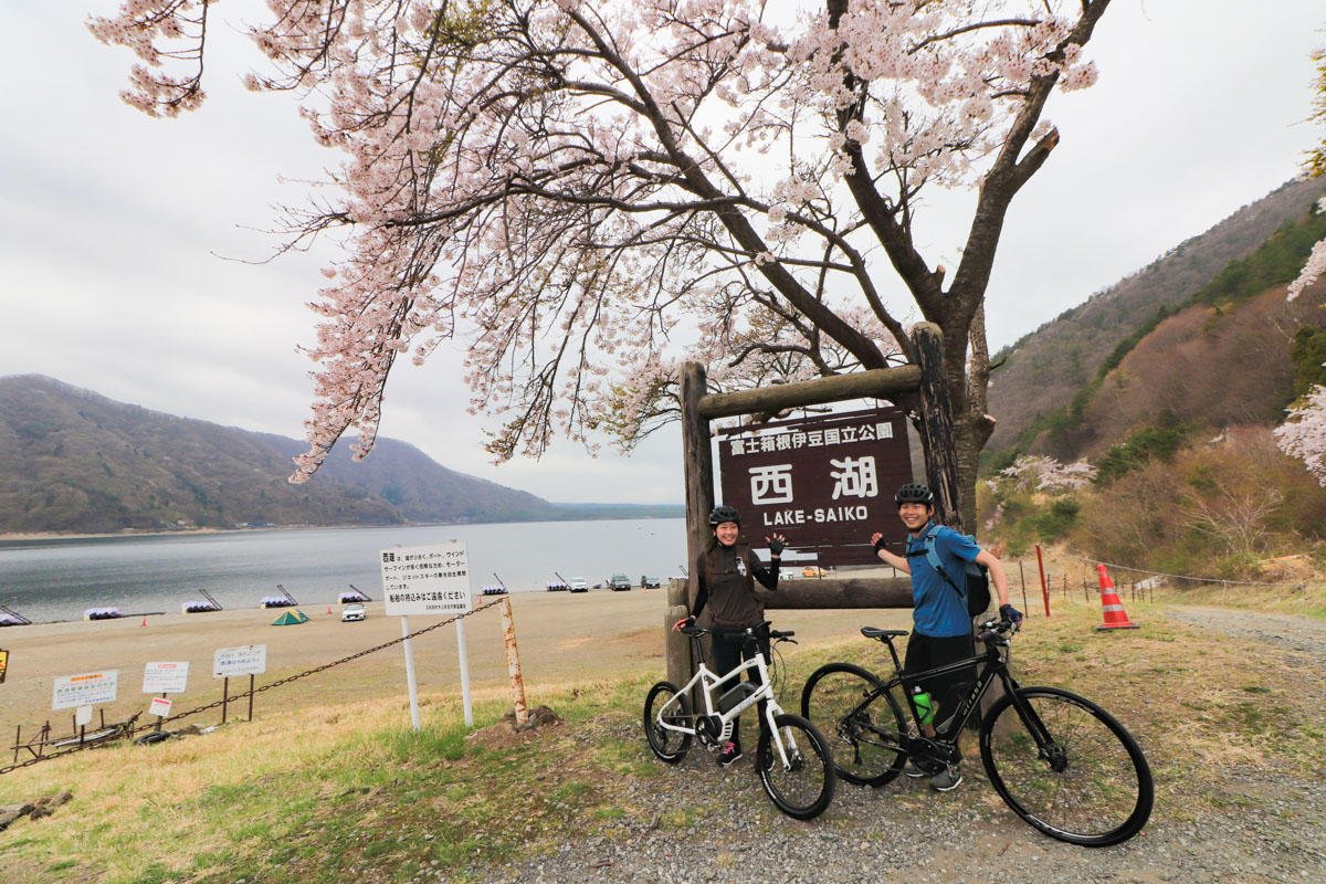 標高が高いためかまだ桜の花が咲いていた西湖