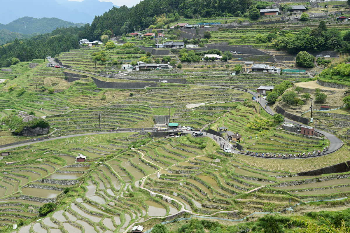 田植えが終わった丸山千枚田を集団が登っていく