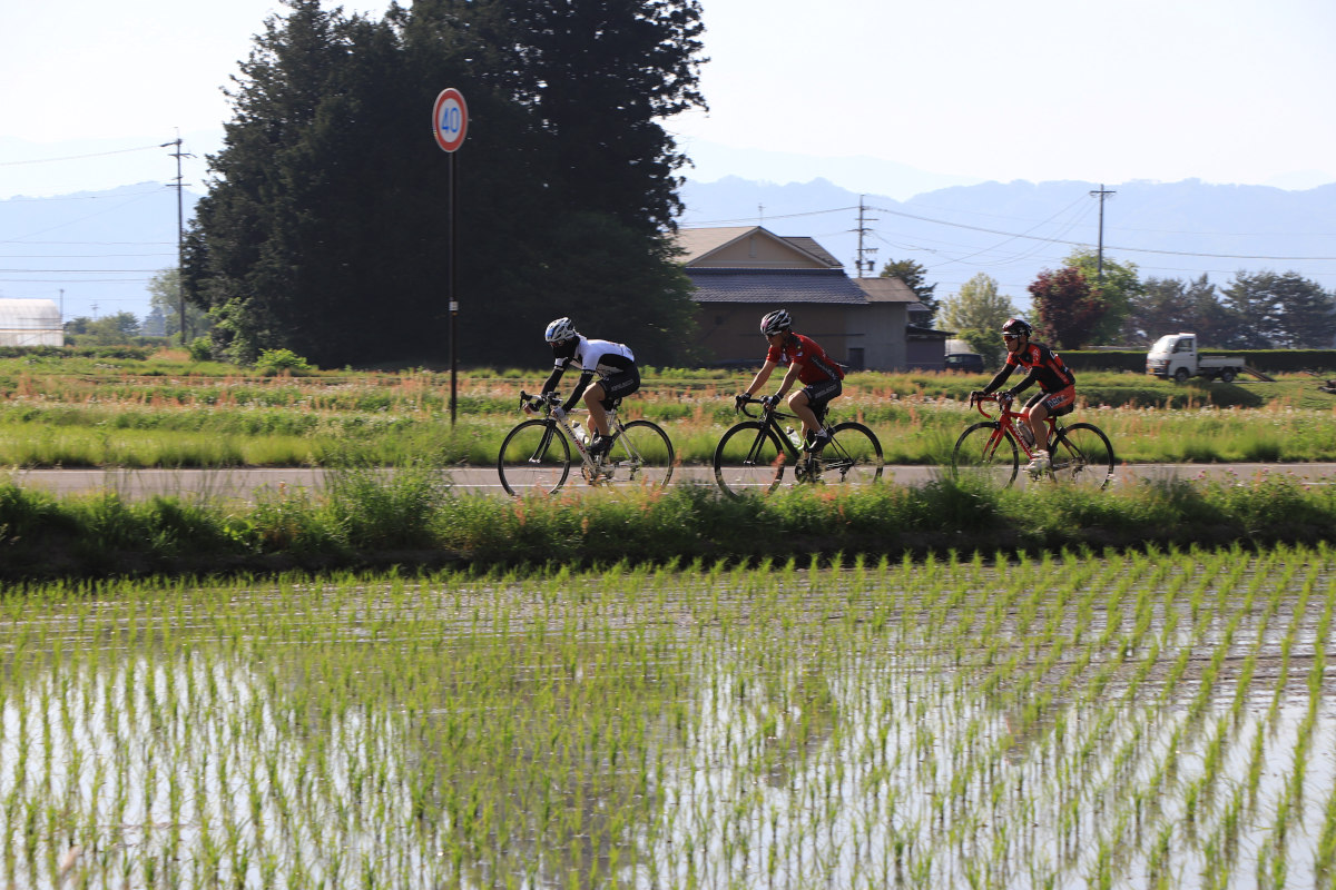 田植えも終え季節感のある日本らしい田園風景が広がる