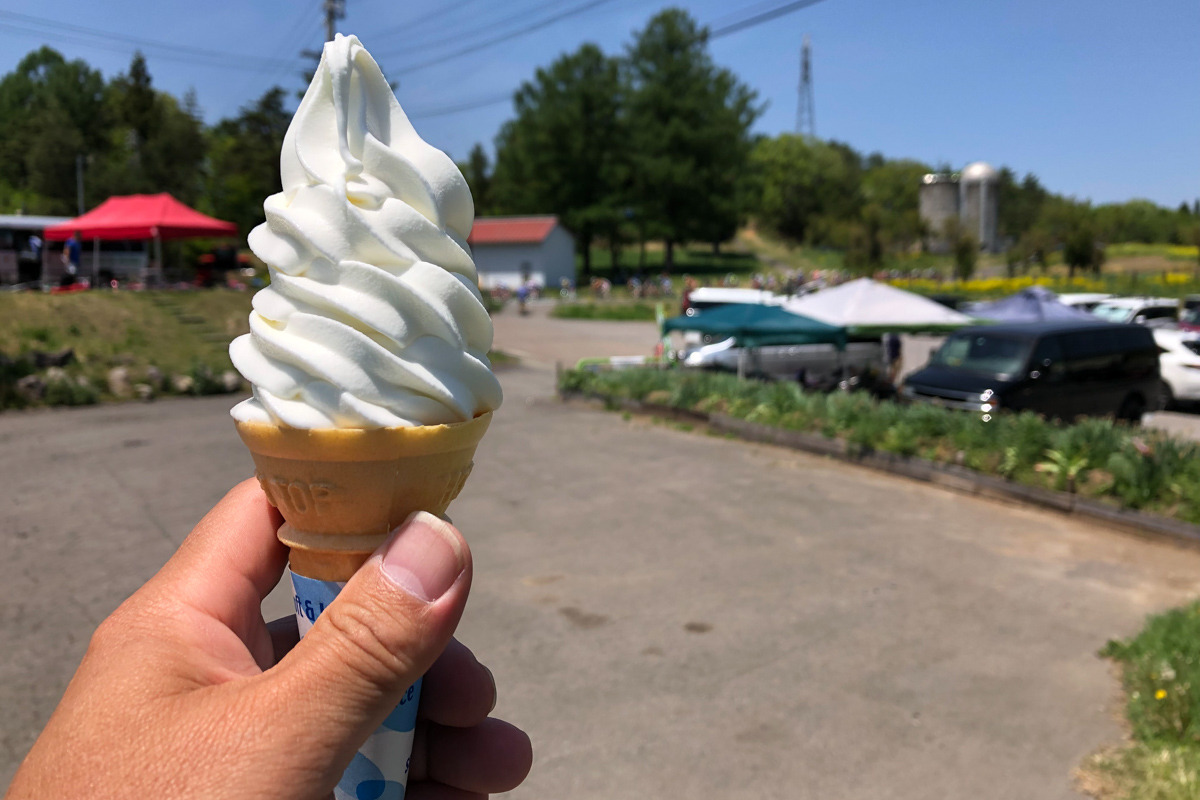 地元牧場のソフトクリーム。暑くて、すぐ崩れてしまったけど美味しかった