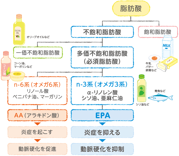 必須脂肪酸 EPAとは