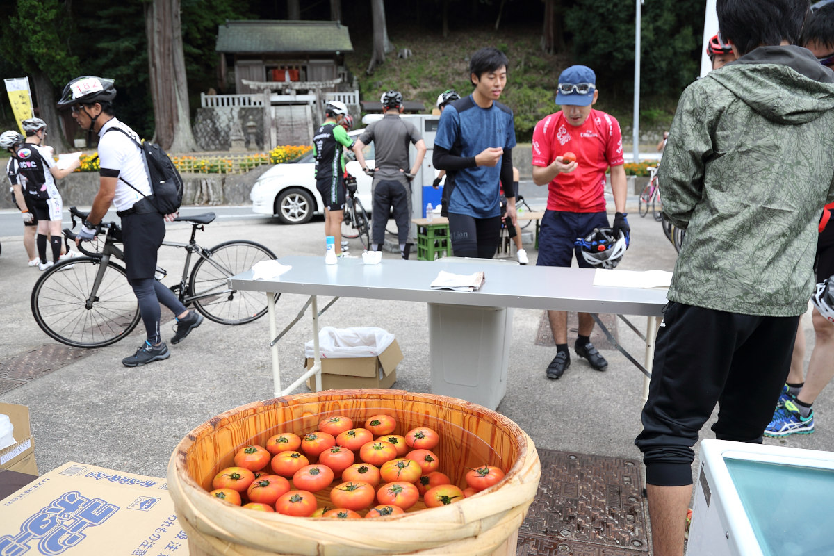 曽爾村の特産品の冷やしトマト