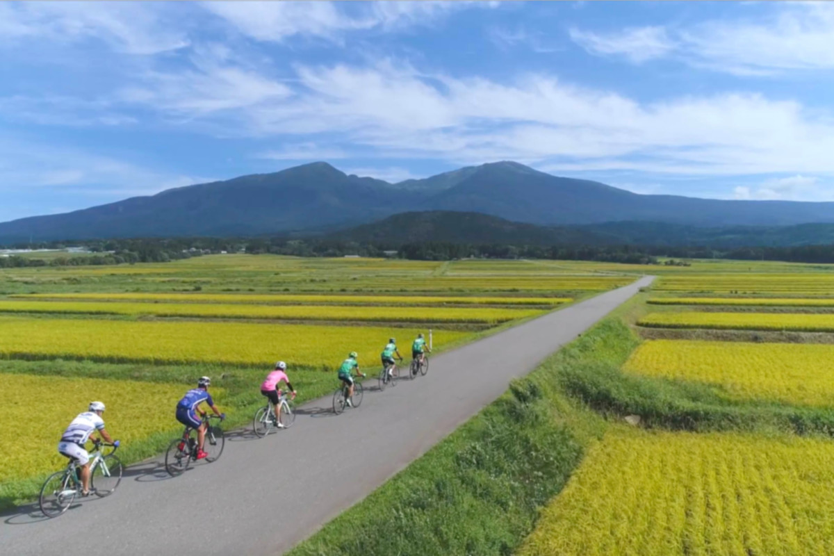 黄金色の田園風景の中をいく　じろで庄内2019