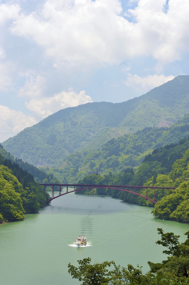 大会の時期には紅葉で色づく庄川峡が見れるはず