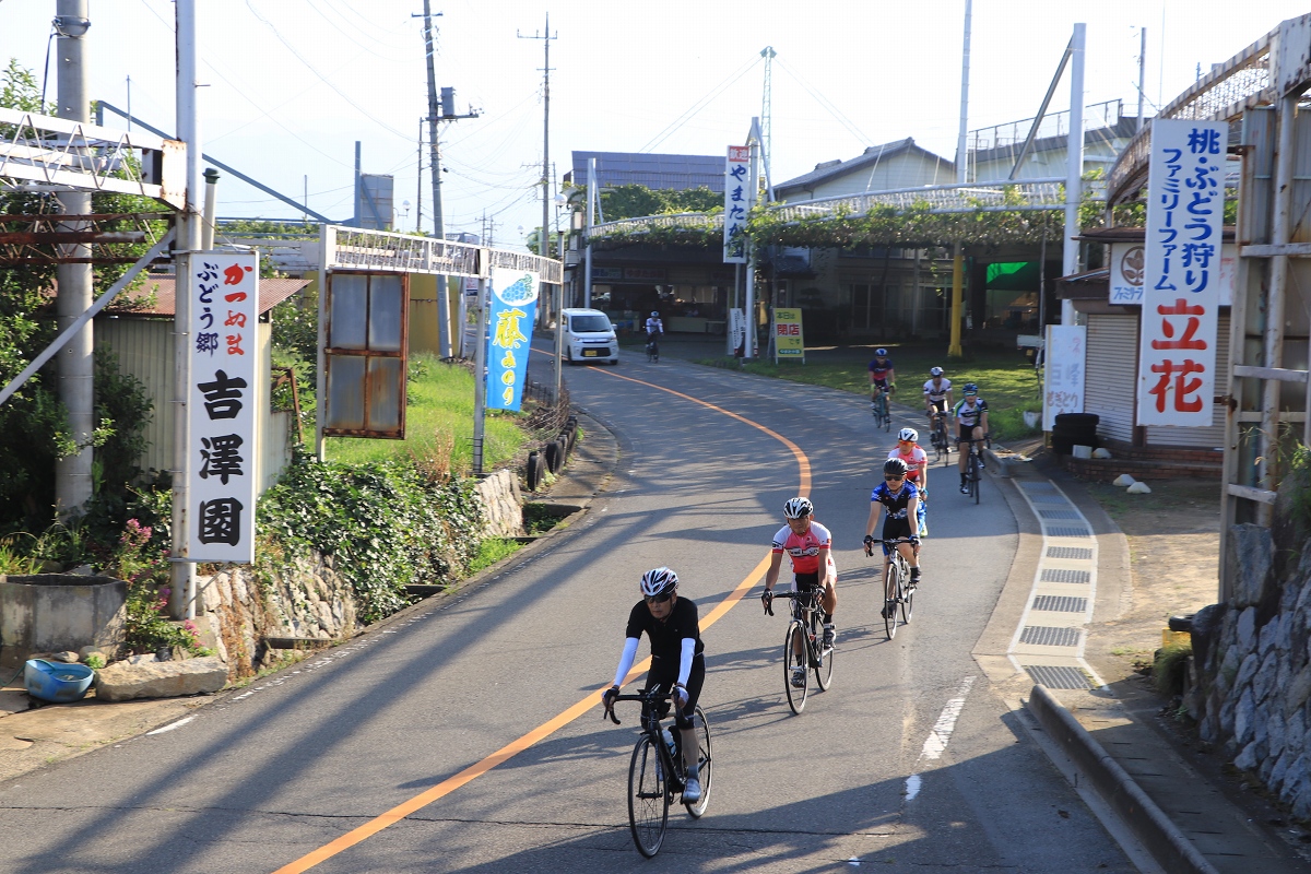 たくさんの果樹園の中を走っていく