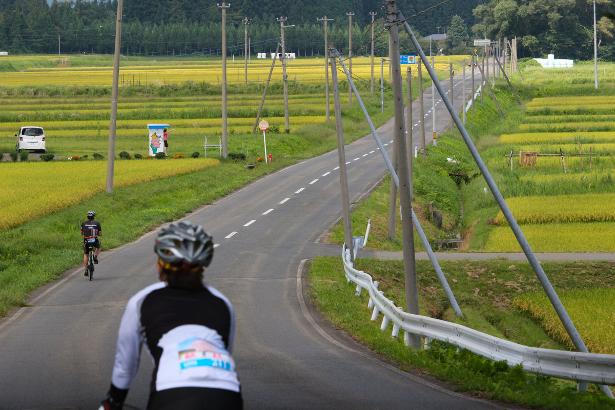 段々畑に伸びる一本道を走る