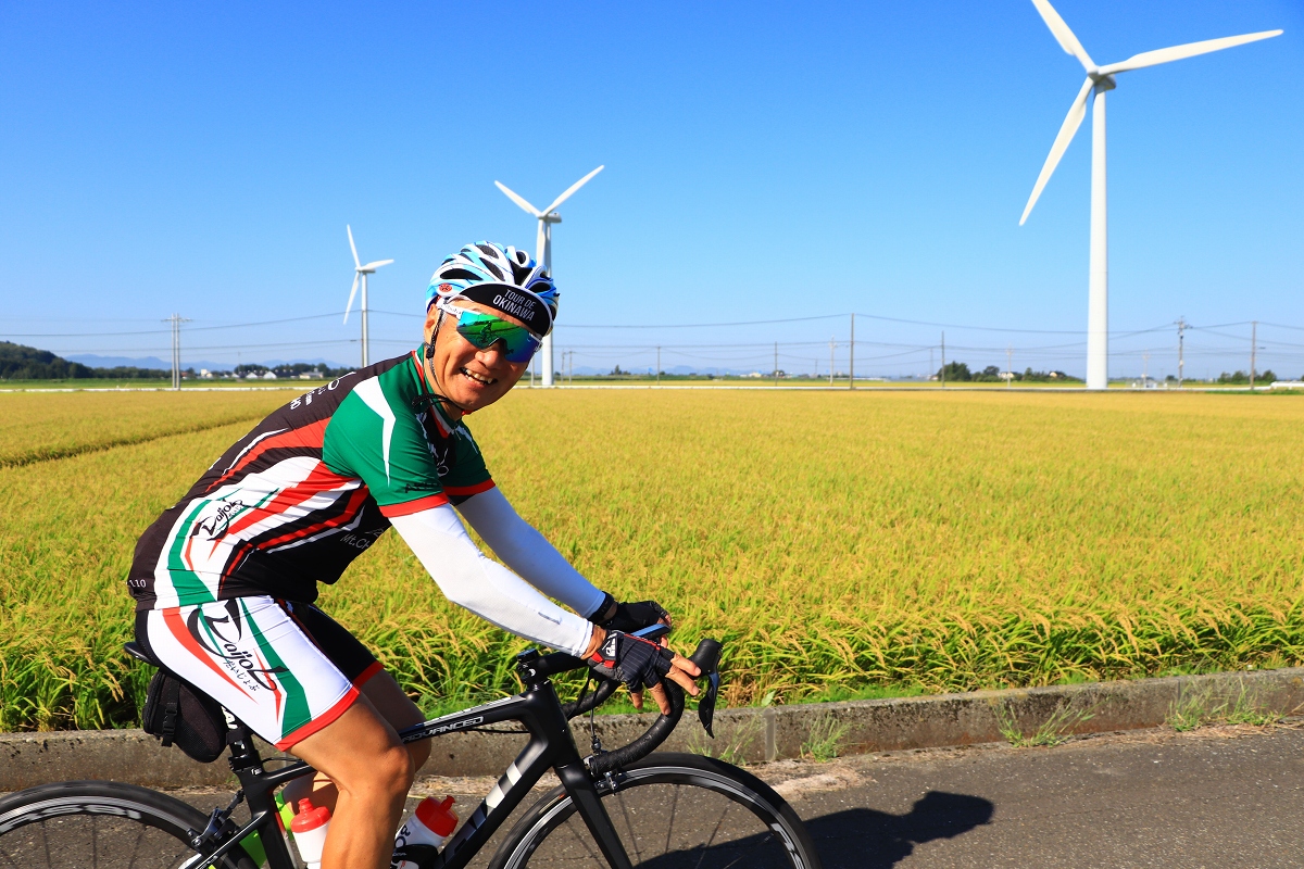 巨大な風車が回っています