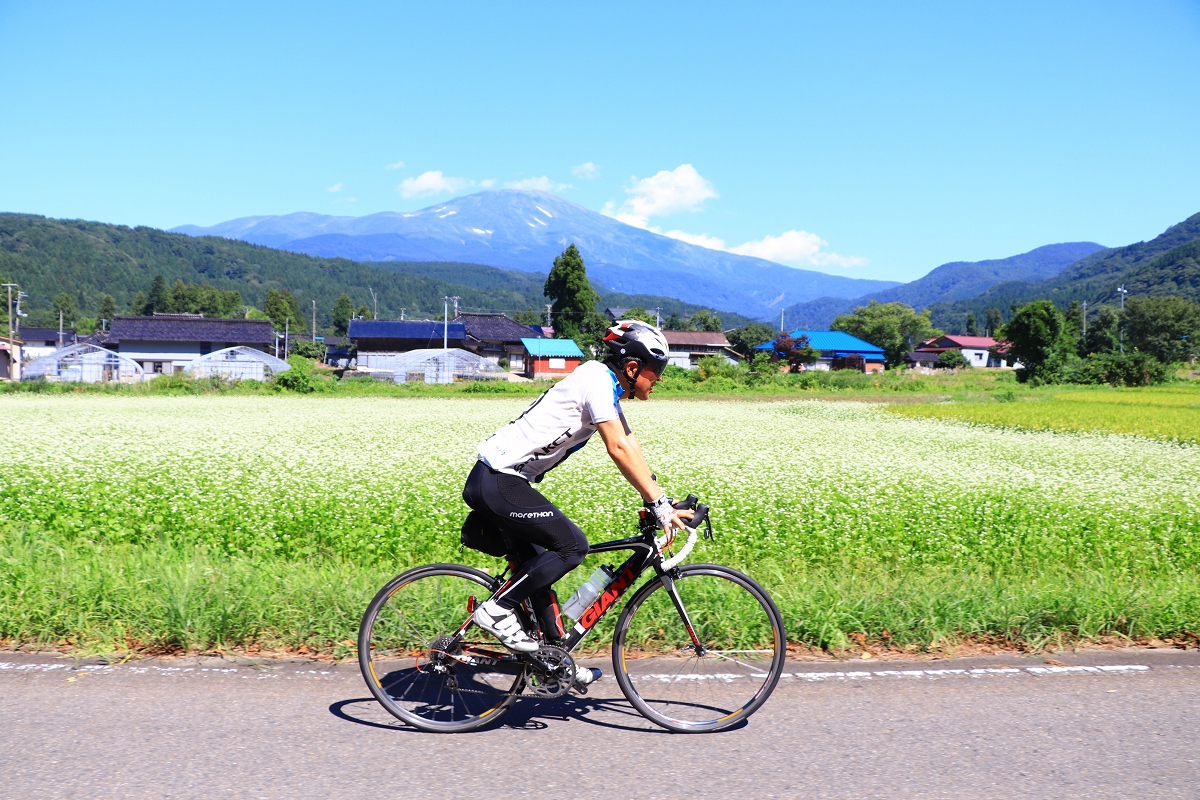 美しく咲くそば畑の横を行く　遠くに見えるは鳥海山