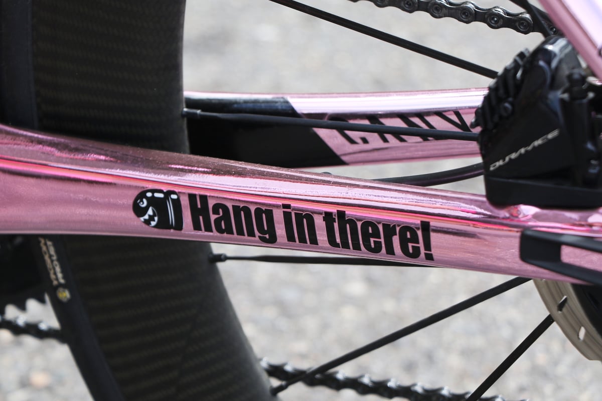 チェーンステーには自身を鼓舞させる”Hang in there”の文字を入れる