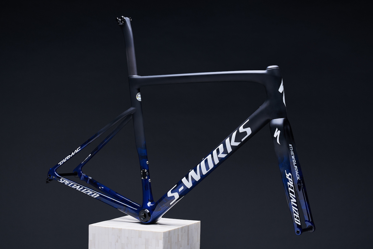 スペシャライズド S-Works Tarmac Disc（2019ドゥクーニンク・クイックステップ限定フレームセット）