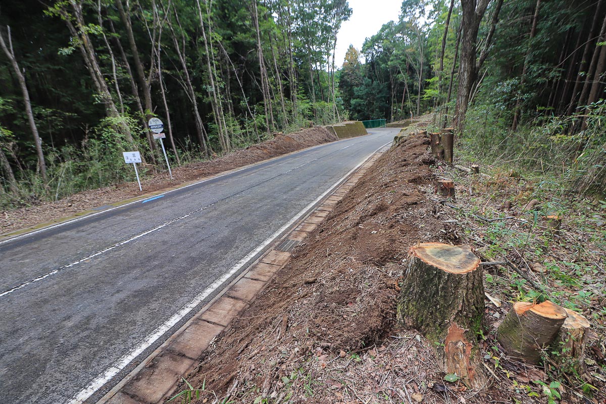 古賀志林道の下りは林が根こそぎ崩れ、撤去されて視界が開けた