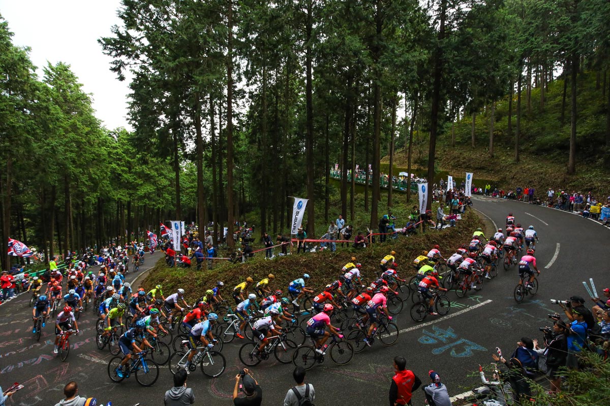 日本唯一のプロシリーズレース「ジャパンカップ サイクルロードレース」が10月14～16日に開催決定