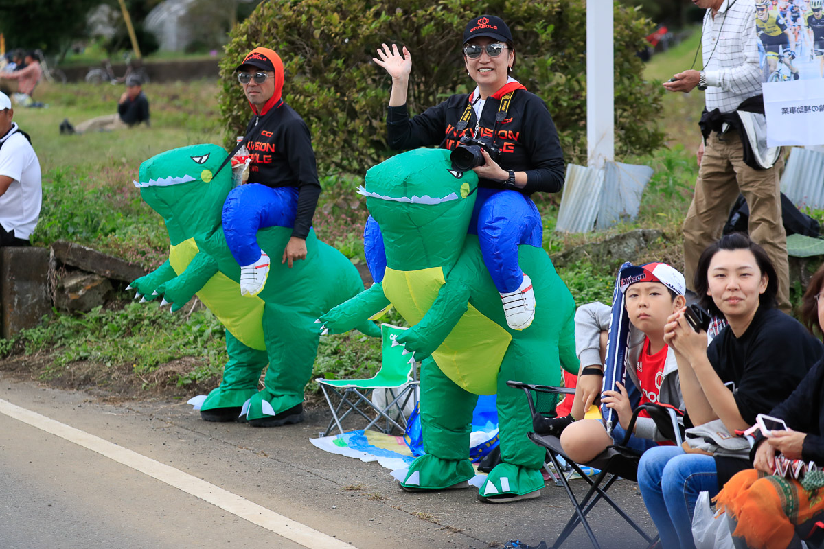 田野町交差点では双子の恐竜が応援していた