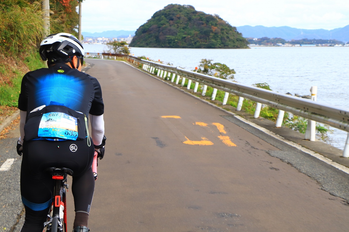 池とは思えないスケール感の島が浮いています