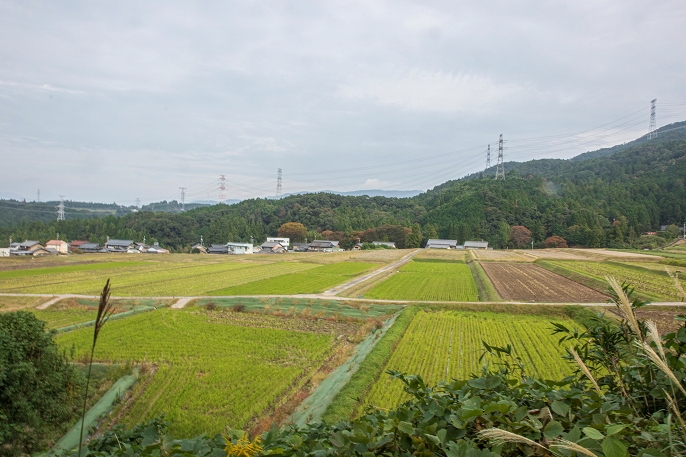 田園風景を見ながら進んでいく