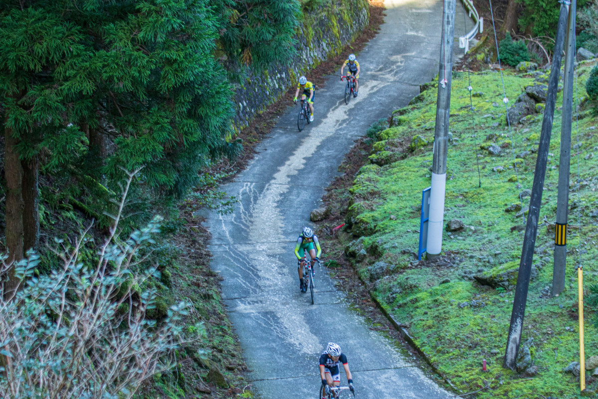 紀伊山地の那智山を目指す大雲取コースの選手たち。コースの後半は簡易舗装の激坂があり、大会の名物になっている
